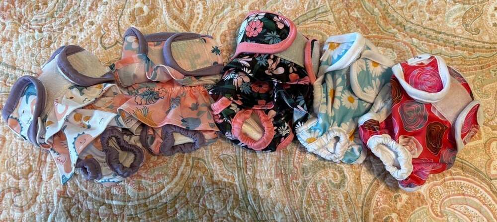 GUC set of 5 Pet Soft Washable Female Dog Diapers, XS Ruffle Ocean Floral Print